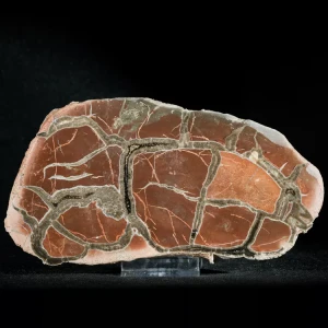 Septarie-smoczy-kamien-septarian (43) (Copy).webp