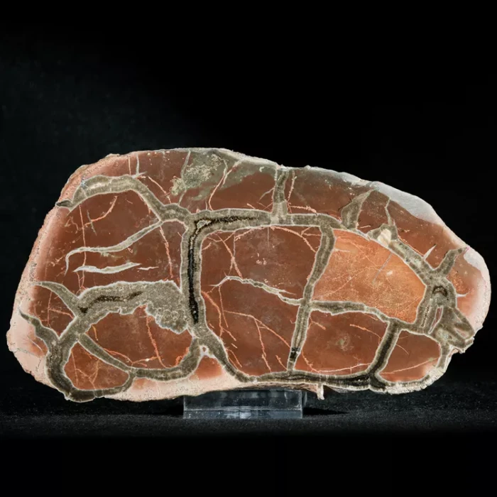 Septarie-smoczy-kamien-septarian (43) (Copy).webp