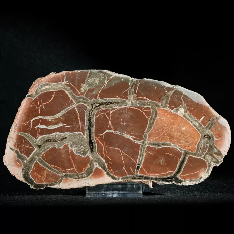 Septarie-smoczy-kamien-septarian (43) (Copy).webp