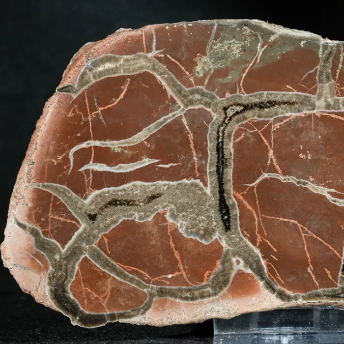 Septarie-smoczy-kamien-septarian (44) (Copy).webp