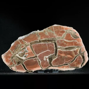 Septarie-smoczy-kamien-septarian (39) (Copy).webp
