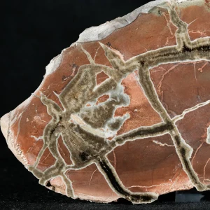 Septarie-smoczy-kamien-septarian (40) (Copy).webp