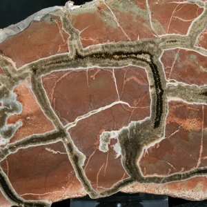 Septarie-smoczy-kamien-septarian (41) (Copy).webp