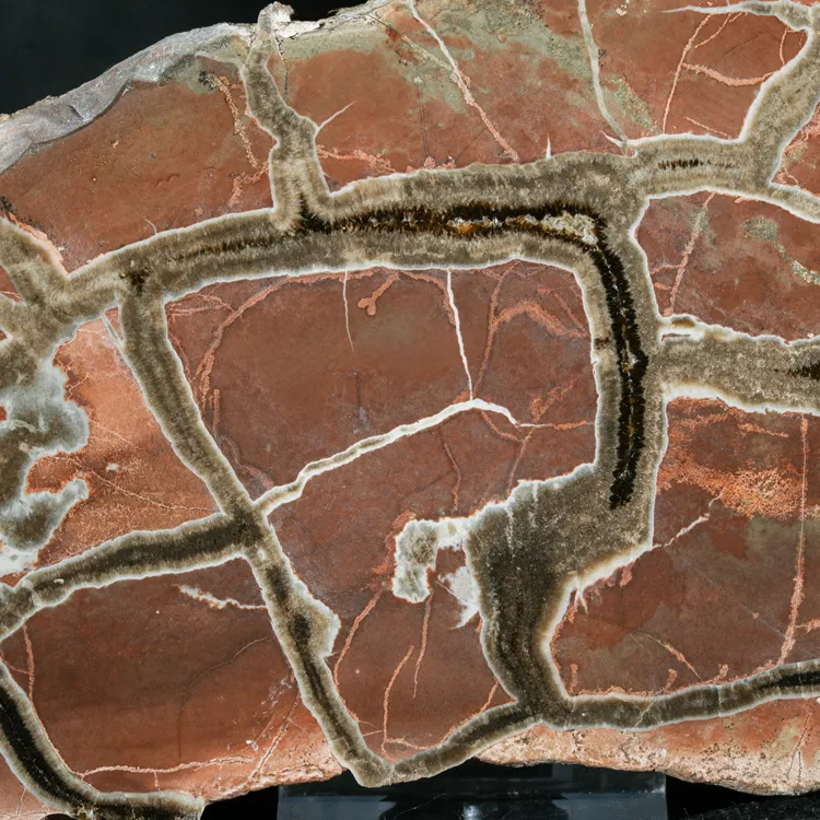 Septarie-smoczy-kamien-septarian (41) (Copy).webp