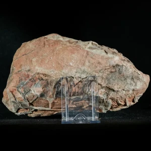 Septarie-smoczy-kamien-septarian (42) (Copy).webp