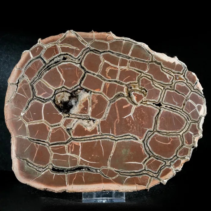 Septarie-smoczy-kamien-septarian (26) (Copy).webp