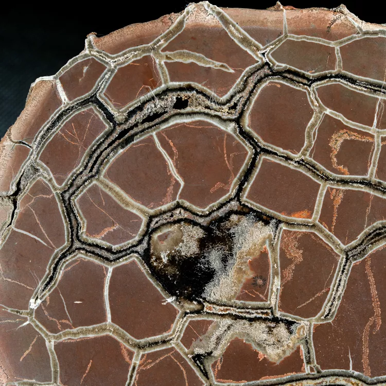 Septarie-smoczy-kamien-septarian (27) (Copy).webp