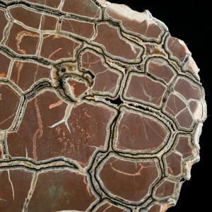 Septarie-smoczy-kamien-septarian (28) (Copy).webp