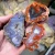 rough-agates-from-morocco (4) (Copy).webp