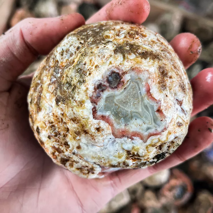 rough-agates-from-morocco (2) (Copy).webp