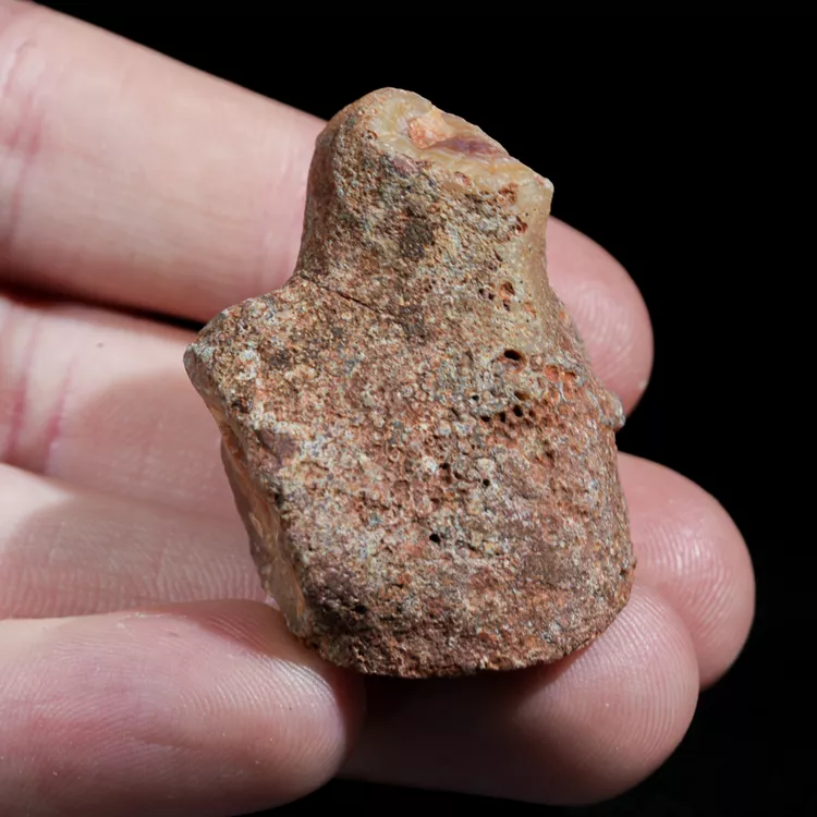 agat-z-malawi-kolorowy-kamien-naturalny (26) (Copy).webp