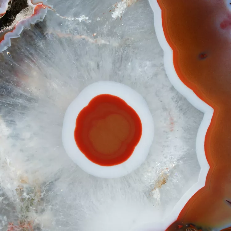 agat-argentyna-puma-patagonia-naturalny (32) (Copy).webp