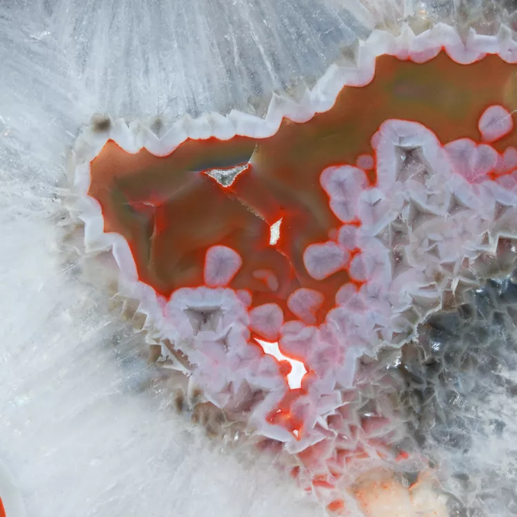 agat-argentyna-puma-patagonia-naturalny (33) (Copy).webp