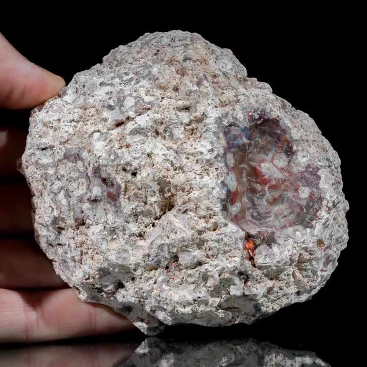 agat-argentyna-puma-patagonia-naturalny (35) (Copy).webp