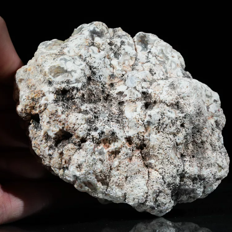 agat-argentyna-puma-patagonia-naturalny (4) (Copy).webp