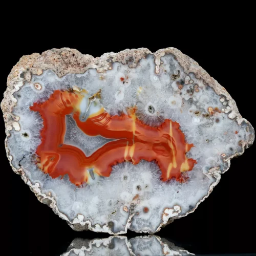 agat-argentyna-puma-patagonia-naturalny (26) (Copy).webp