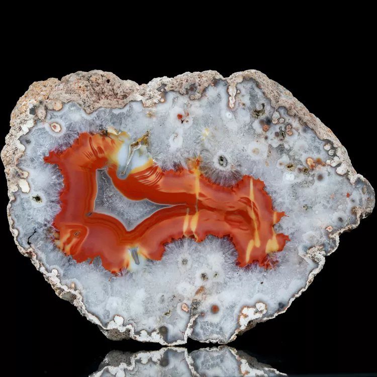 agat-argentyna-puma-patagonia-naturalny (26) (Copy).webp