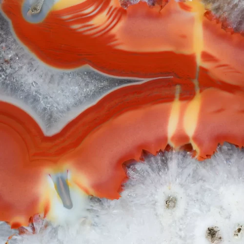 agat-argentyna-puma-patagonia-naturalny (27) (Copy).webp