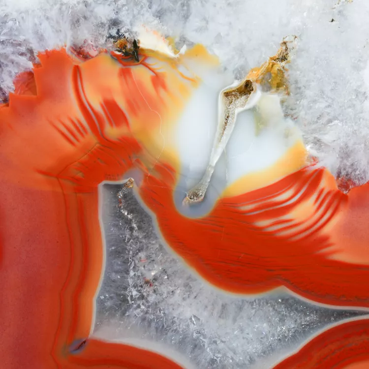 agat-argentyna-puma-patagonia-naturalny (28) (Copy).webp