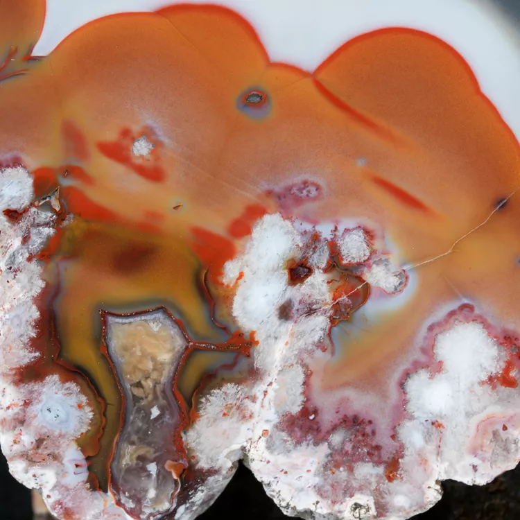 agat-argentyna-puma-patagonia-naturalny (23) (Copy).webp