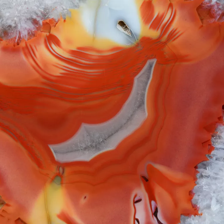 agat-argentyna-puma-patagonia-naturalny (55) (Copy).webp