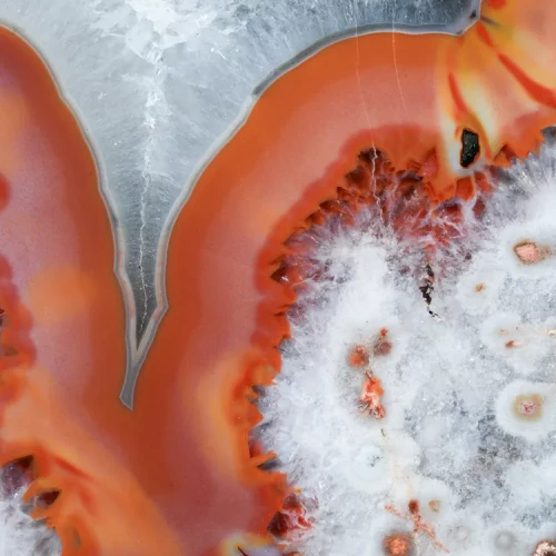 agat-argentyna-puma-patagonia-naturalny (81) (Copy).webp