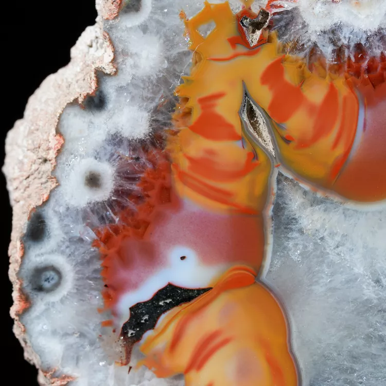 agat-argentyna-puma-patagonia-naturalny (87) (Copy).webp