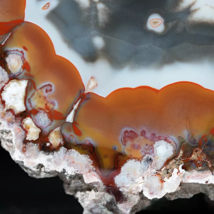 agat-argentyna-puma-patagonia-naturalny (51) (Copy).webp