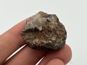 IMG_5316.JPG