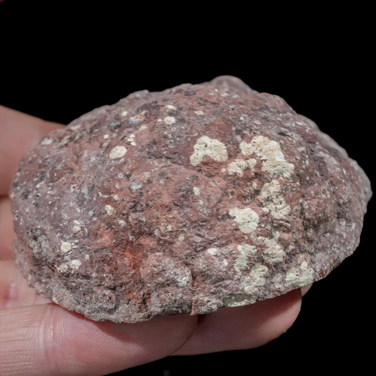 agat-z-nowego-kosciola-kamienie-polski (179) (Copy).webp