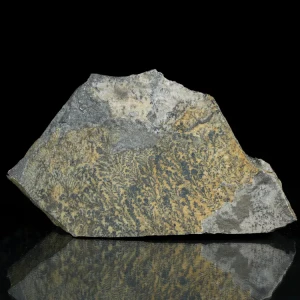 dendryt-paprocie-polska-mineraly (1).webp