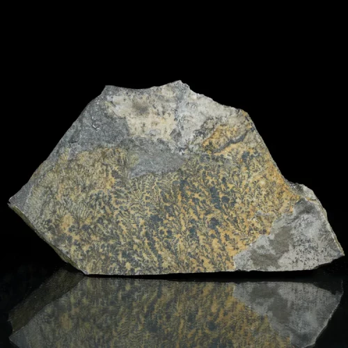 dendryt-paprocie-polska-mineraly (1).webp
