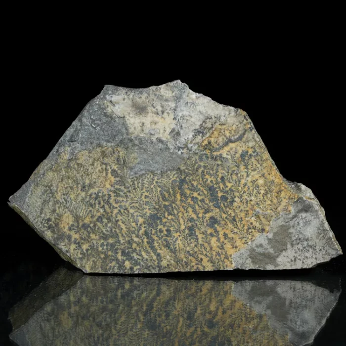 dendryt-paprocie-polska-mineraly (1).webp