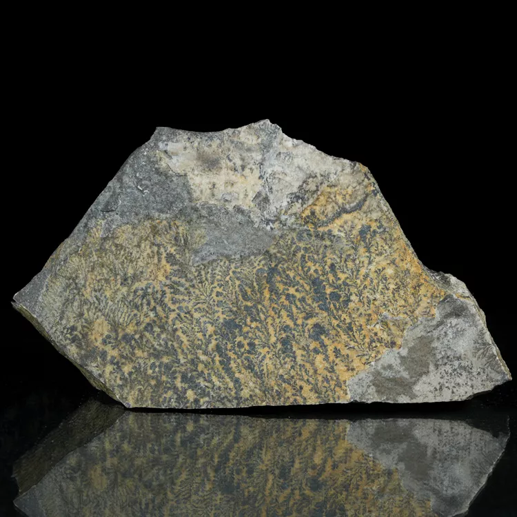 dendryt-paprocie-polska-mineraly (1).webp