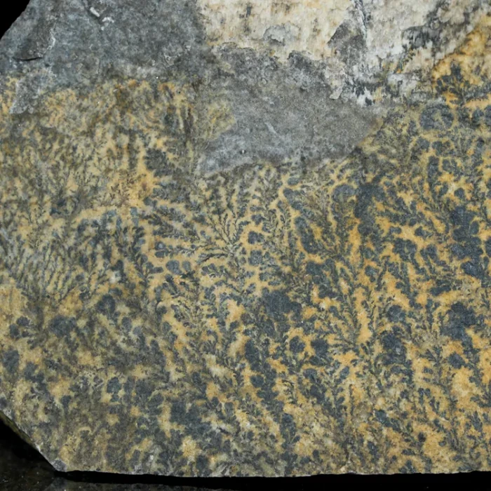 dendryt-paprocie-polska-mineraly (2).webp