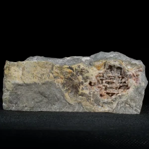 dendryt-paprocie-polska-mineraly (7).webp