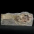 dendryt-paprocie-polska-mineraly (7).webp