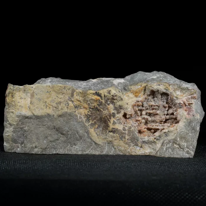 dendryt-paprocie-polska-mineraly (7).webp