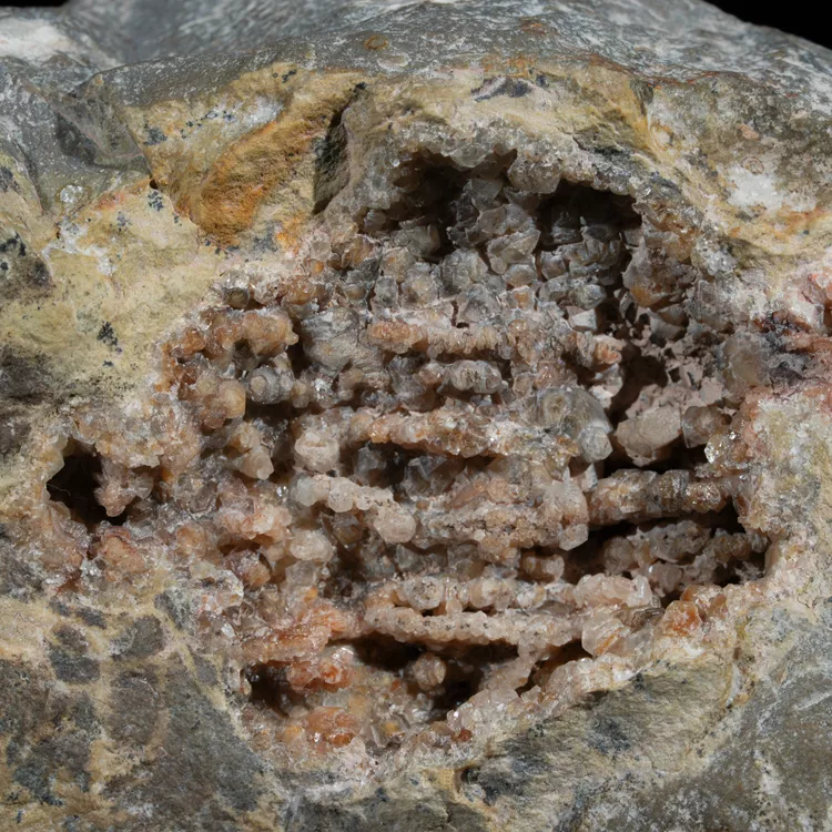 dendryt-paprocie-polska-mineraly (9).webp