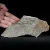 dendryt-paprocie-polska-mineraly (11).webp