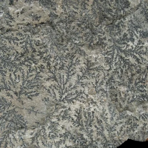 dendryt-paprocie-polska-mineraly (13).webp