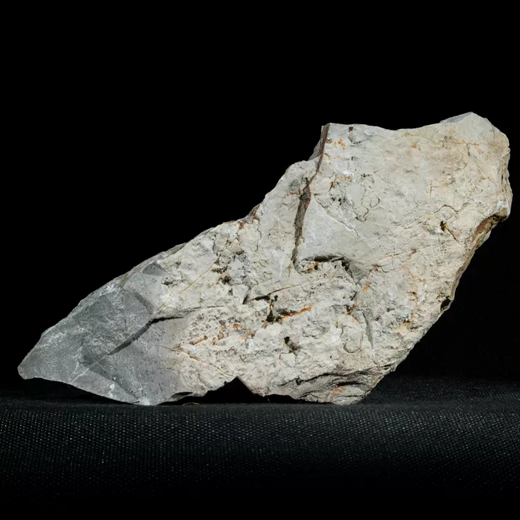 dendryt-paprocie-polska-mineraly (14).webp