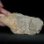 dendryt-paprocie-polska-mineraly (15).webp