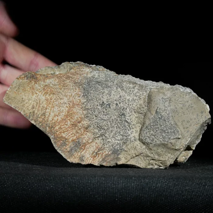 dendryt-paprocie-polska-mineraly (15).webp