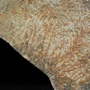 dendryt-paprocie-polska-mineraly (17).webp