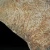 dendryt-paprocie-polska-mineraly (17).webp