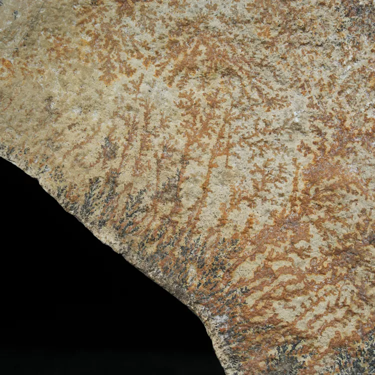 dendryt-paprocie-polska-mineraly (17).webp