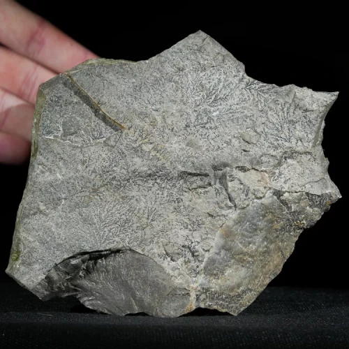 dendryt-paprocie-polska-mineraly (19).webp