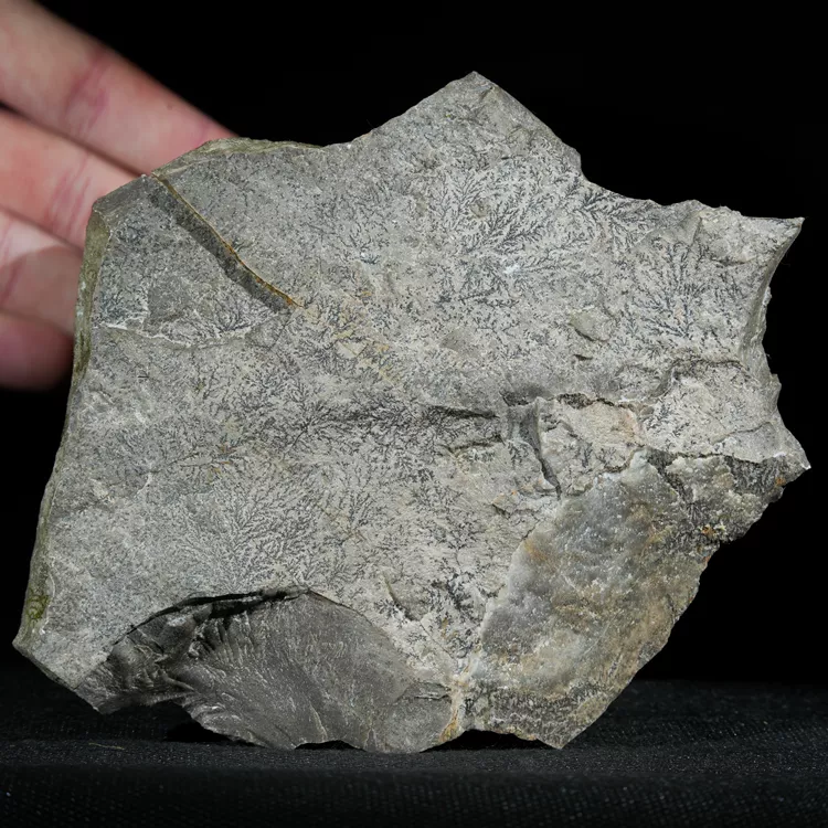 dendryt-paprocie-polska-mineraly (19).webp