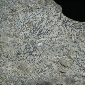 dendryt-paprocie-polska-mineraly (20).webp